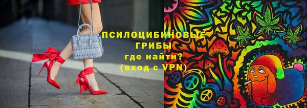 тгк Кукмор